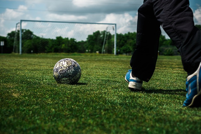 力的肯定 力的肯定