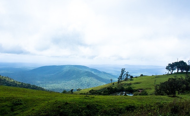 赞助商眼中 赞助商眼中