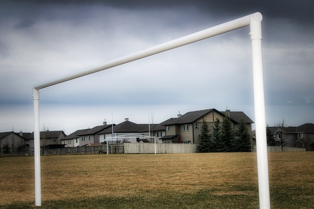 龙的稳定状 龙的稳定状