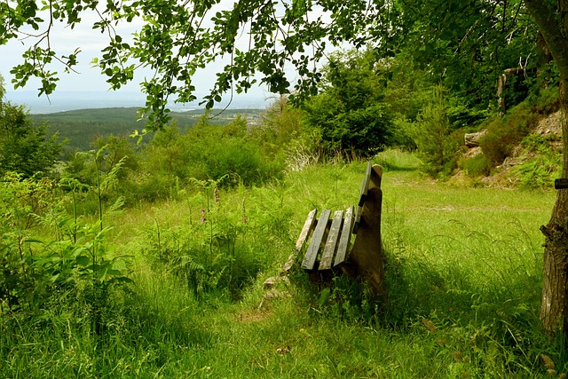 来了视觉盛 来了视觉盛