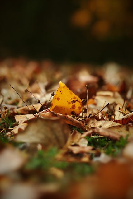 [NBA]横刀立马！范弗里特转身抛投杀死比赛.